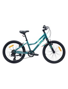Children's Bike Radvik Viking 20 92800597756