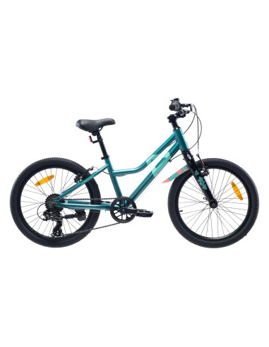 Children's Bike Radvik Viking 20 92800597756