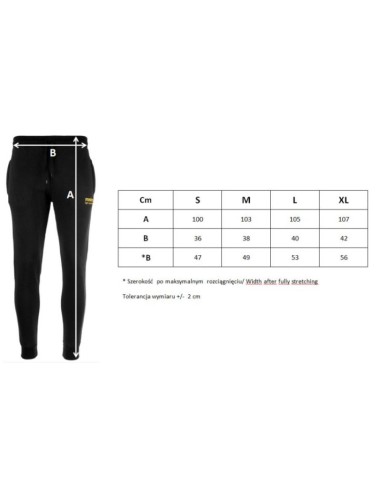 Masters M 061717M01 trousers