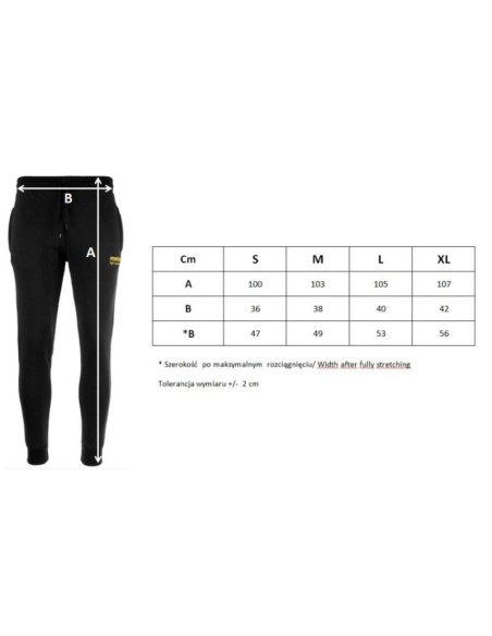 Masters M 061717M01 trousers