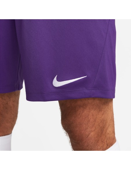 Nike Park III Αθλητική Ανδρική Βερμούδα Μωβ BV6855-547