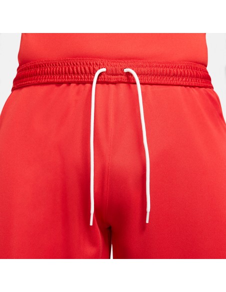 Nike Dry Park III M BV6855-657 shorts