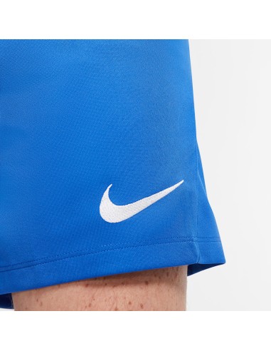 Nike Dry Park III NB M BV6855 463 shorts