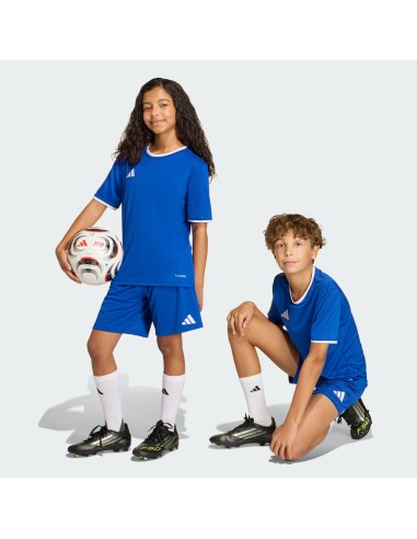 adidas ENTRADA 26 Short Junior JZ6524