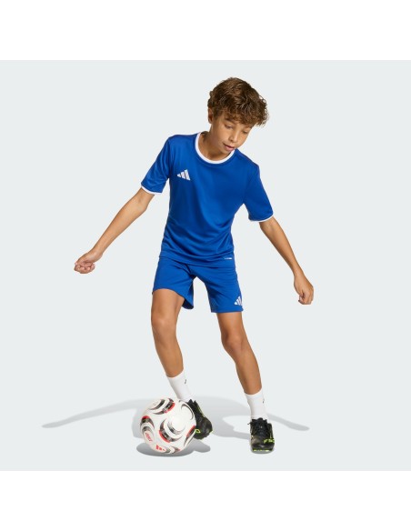 adidas ENTRADA 26 Short Junior JZ6524