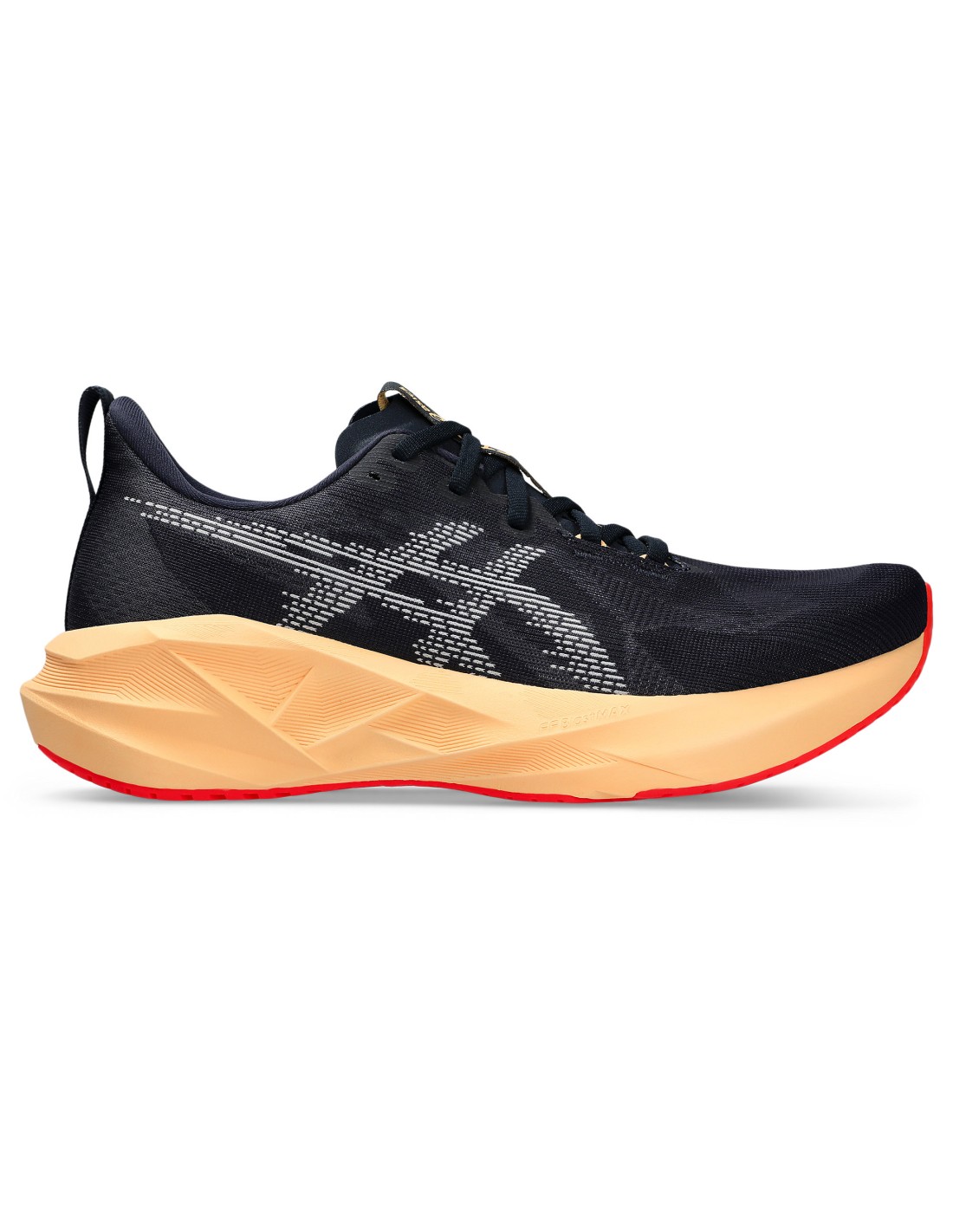 Men's Running Shoes Asics Gray
