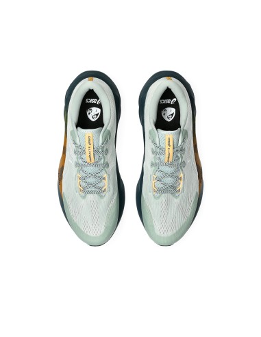 ASICS Novablast 5 TR 1011C138300