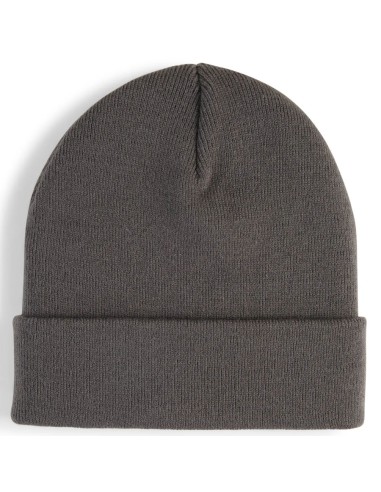 Puma High Crown Beanie Metal Cat 02640403