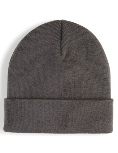 Puma High Crown Beanie Metal Cat 02640403