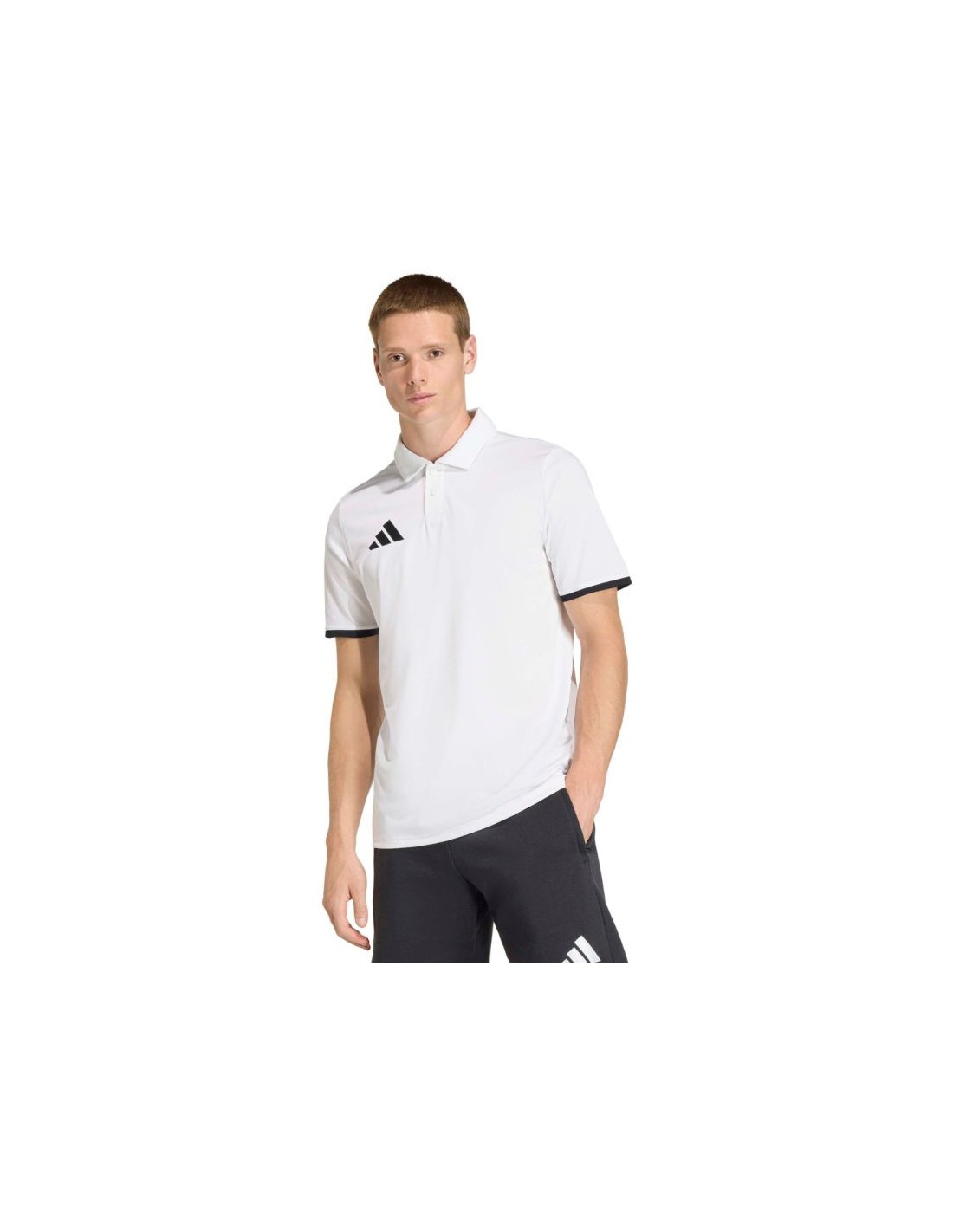 adidas Polo Shirt ENTRADA 26 JZ6661
