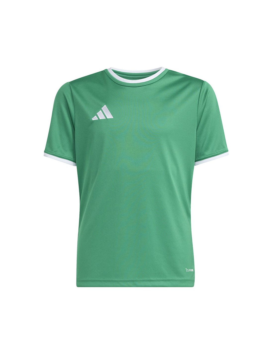 Men's Hats Adidas Green