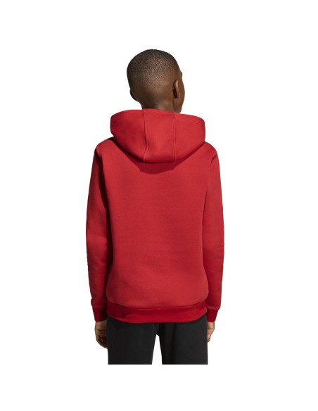 Adidas ENTRADA 26 Hoody Junior JZ6568 sweatshirt