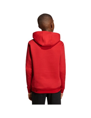 Adidas ENTRADA 26 Hoody Junior JZ6568 sweatshirt
