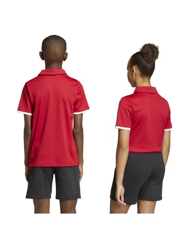 adidas Polo ENTRADA 26 Junior JZ6626