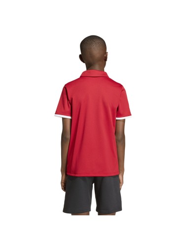 adidas Polo ENTRADA 26 Junior JZ6626