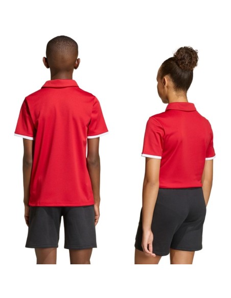 adidas Polo ENTRADA 26 Junior JZ6626