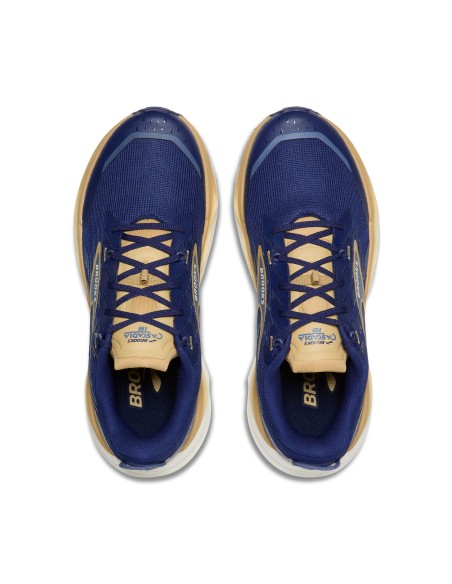 Brooks Cascadia 19 1104571D455