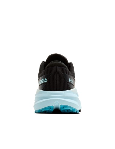 Brooks Cascadia 19 GTX 1204451B010