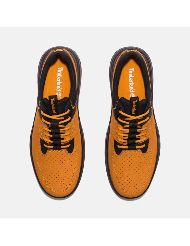 Timberland Maple Grove M TB0A2E7D231 sports shoes