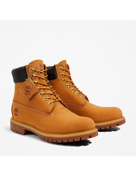 Timberland Premium 6 M TB1A2E31231 shoes
