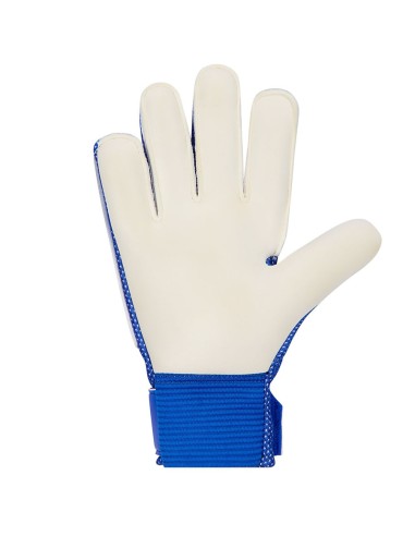 Nike Match Jr Gloves HQ0258458