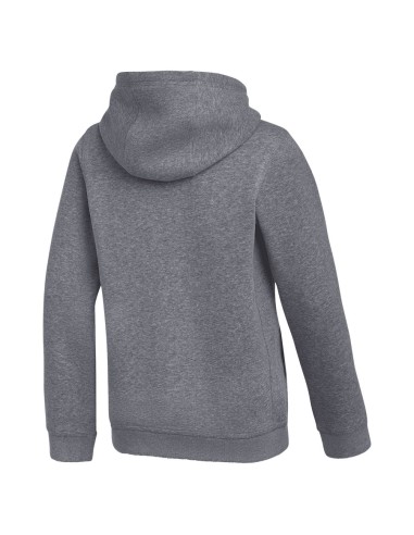 Nike Park 26 Hoody Junior IB1226071 sweatshirt