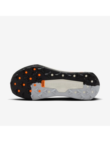 Nike Wildhorse 10 FV2338001 shoes
