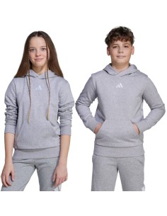 adidas Essentials Hoodie for kids gray JV9995