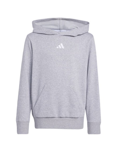adidas Essentials Hoodie for kids gray JV9995