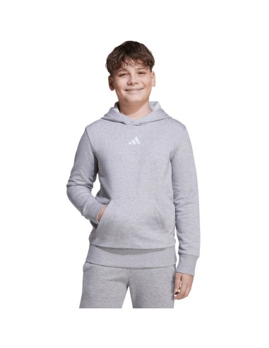 adidas Essentials Hoodie for kids gray JV9995