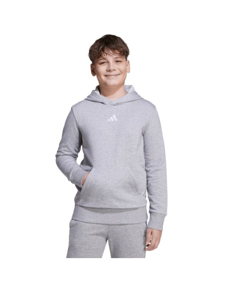 adidas Essentials Hoodie for kids gray JV9995