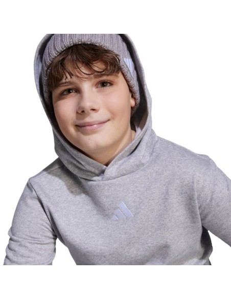 adidas Essentials Hoodie for kids gray JV9995