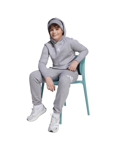 adidas Essentials Hoodie for kids gray JV9995