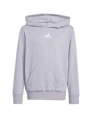 adidas Essentials Hoodie for kids gray JV9995