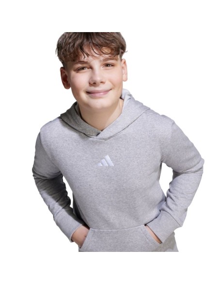 adidas Essentials Hoodie for kids gray JV9995