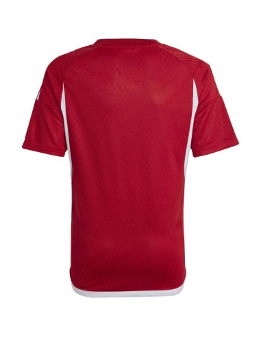 adidas Tiro 23 Competition Match Jersey red IC7457