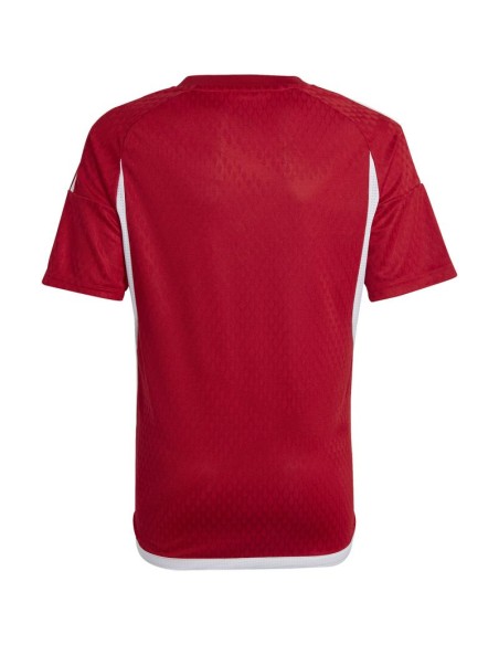adidas Tiro 23 Competition Match Jersey red IC7457