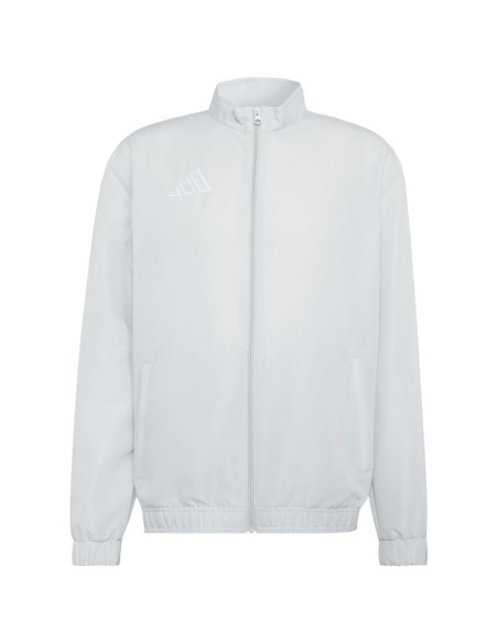 Men's adidas Entrada 26 Presentation sweatshirt gray JZ6620