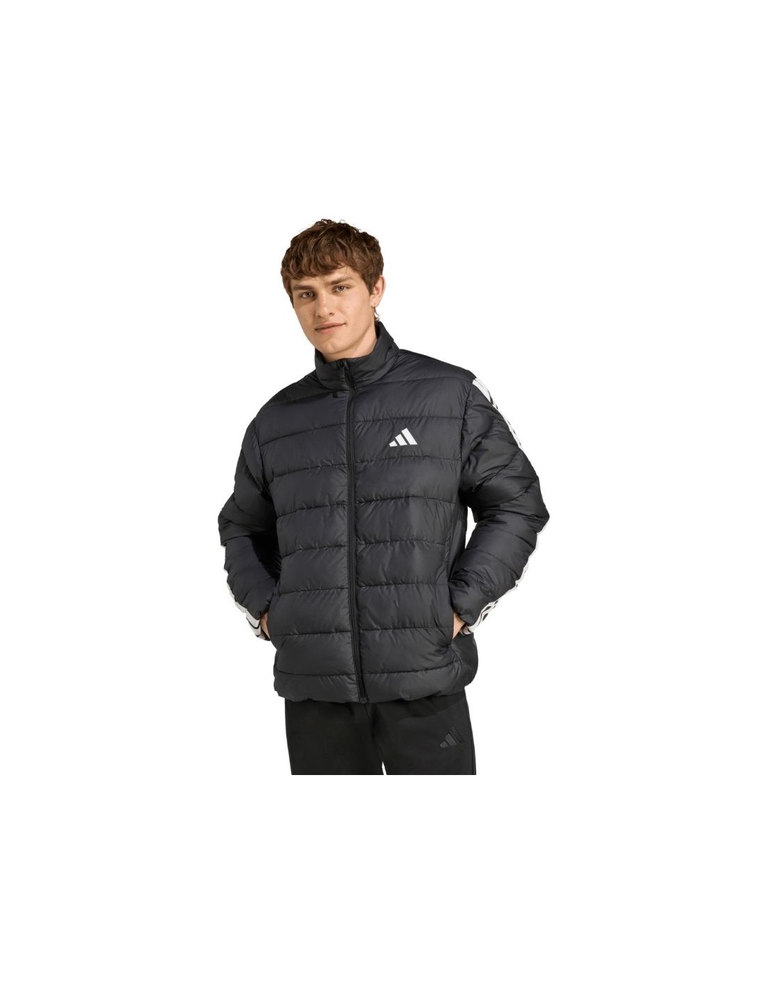 Men's Jackets Adidas Black