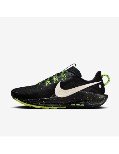 Nike Pegasus Trail 5 DV3864011 shoes