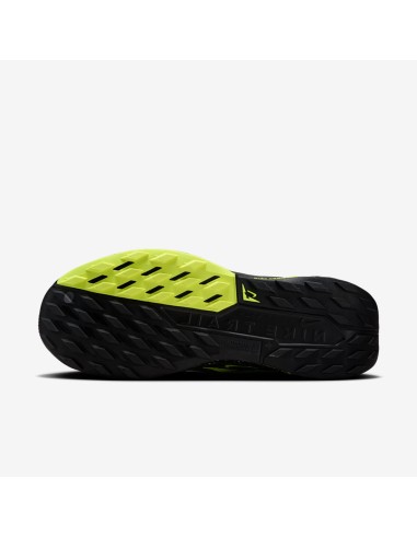 Nike Pegasus Trail 5 DV3864011 shoes