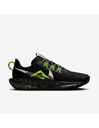 Nike Pegasus Trail 5 DV3864011 shoes