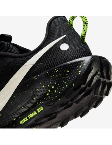 Nike Pegasus Trail 5 DV3864011 shoes