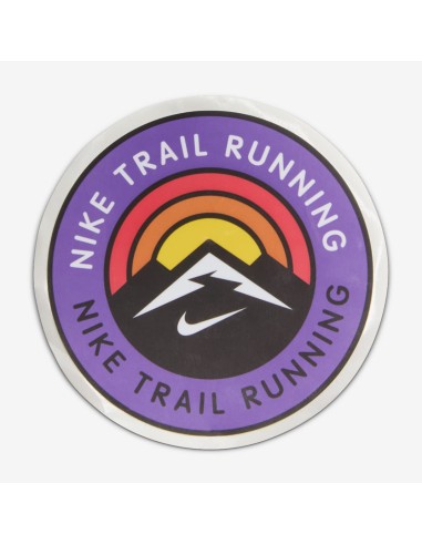 Nike Pegasus Trail 5 DV3864011 shoes