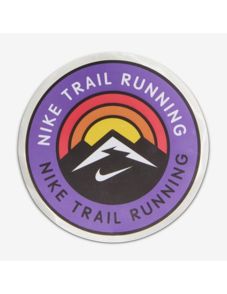 Nike Pegasus Trail 5 DV3864011 shoes