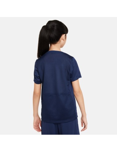 Nike PSG Academy SS Top Jr FQ0022411