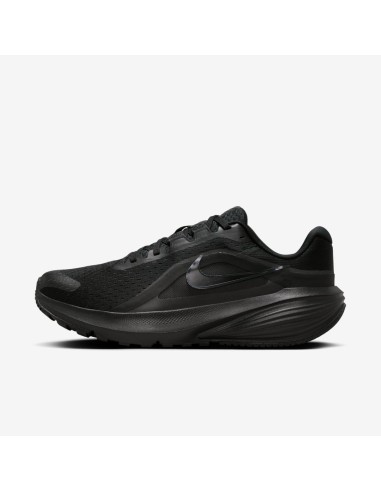 Nike Downshifter 14 W IB1899001 Shoes