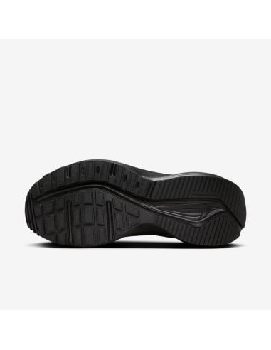 Nike Downshifter 14 W IB1899001 Shoes