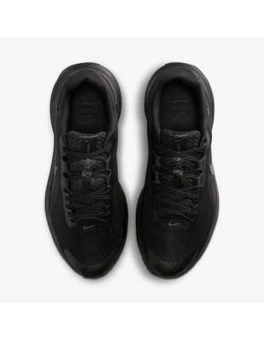 Nike Downshifter 14 W IB1899001 Shoes