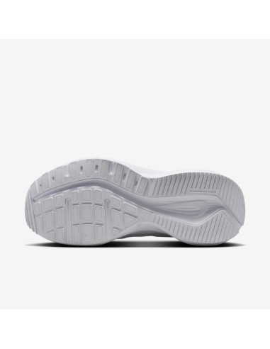 Nike Downshifter 14 W IB1899102 Shoes